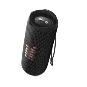 JBL Flip 6